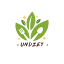 favicon undiets.com