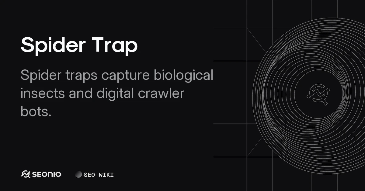 Spider Trap: Guide to Pest Control and Bot Defense